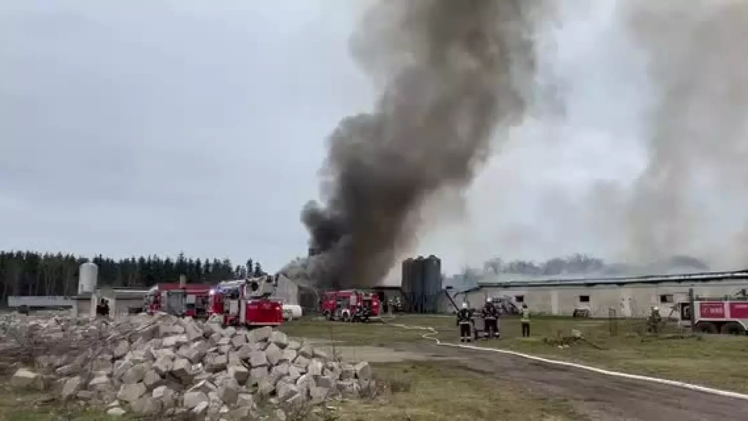 Pożar kurnika Baczyna