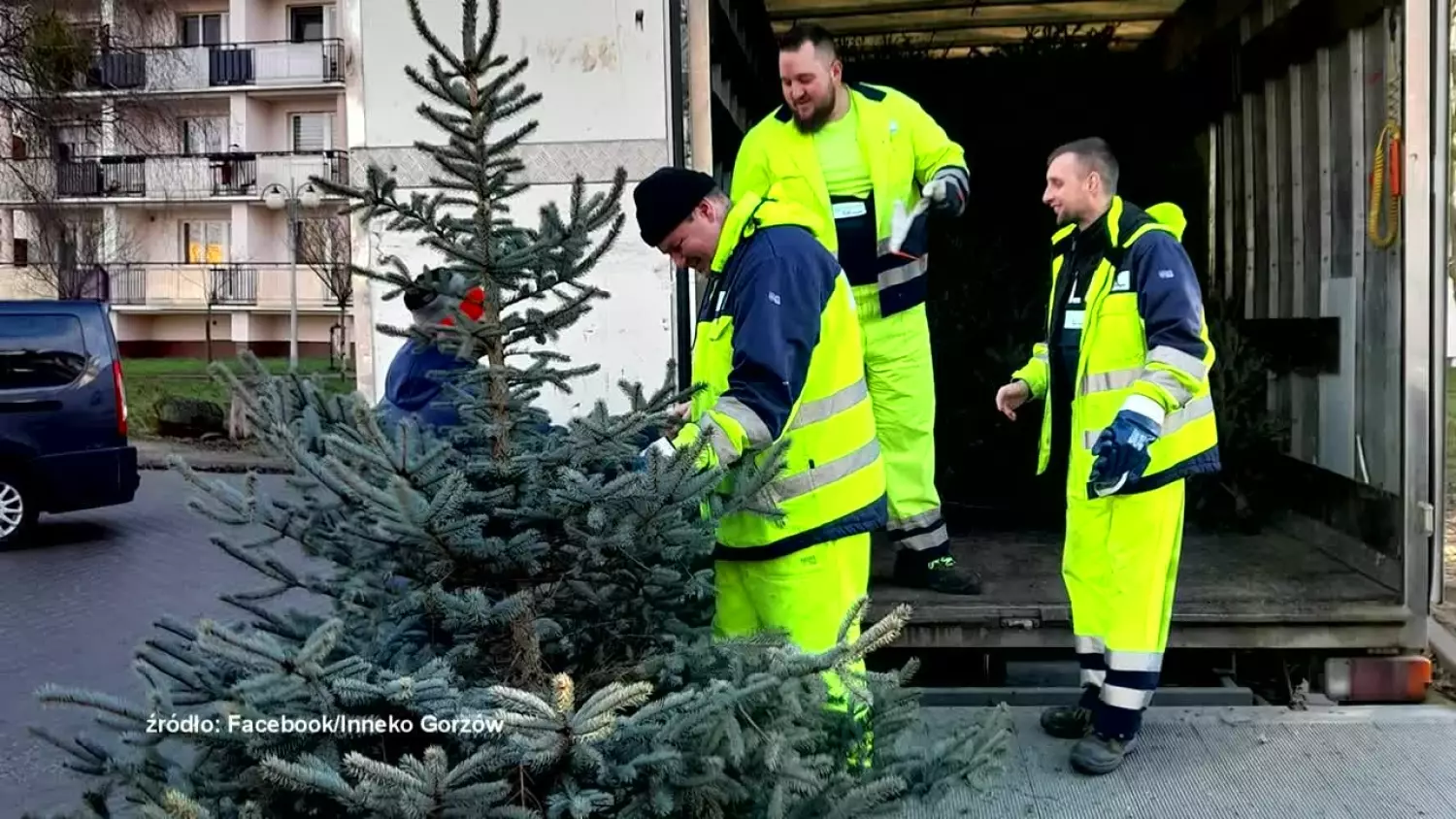 Co zrobić z choinką po świętach?