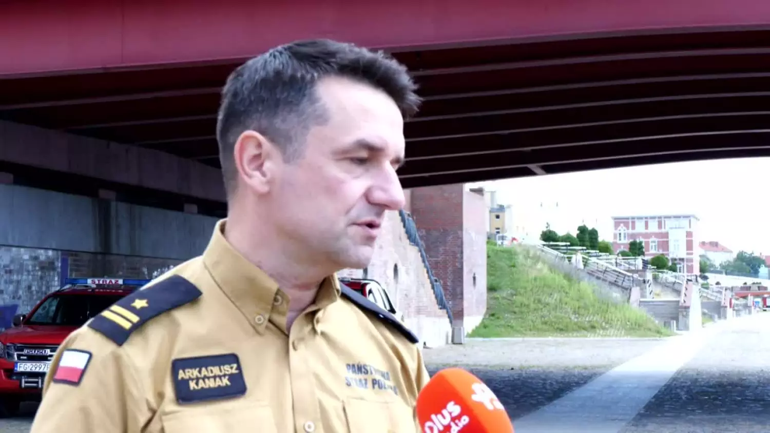 O czym należy pamiętać zanim wezwiemy straż pożarną do gniazda os, pszczół lub szerszeni?