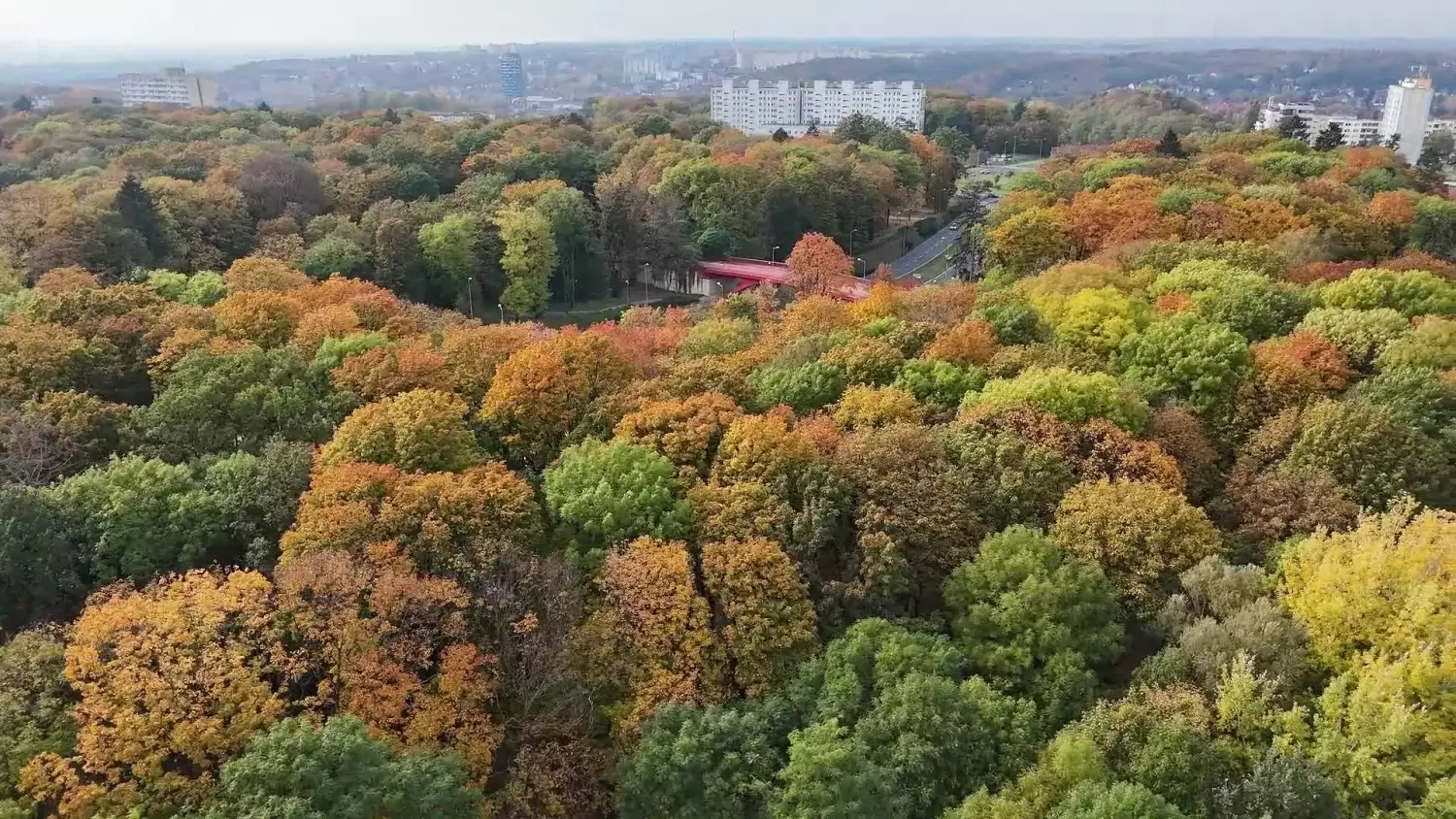 Gorzów w jesiennych barwach