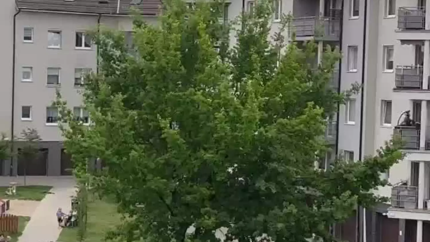 Pożar śmietników na osiedlu Europejskim