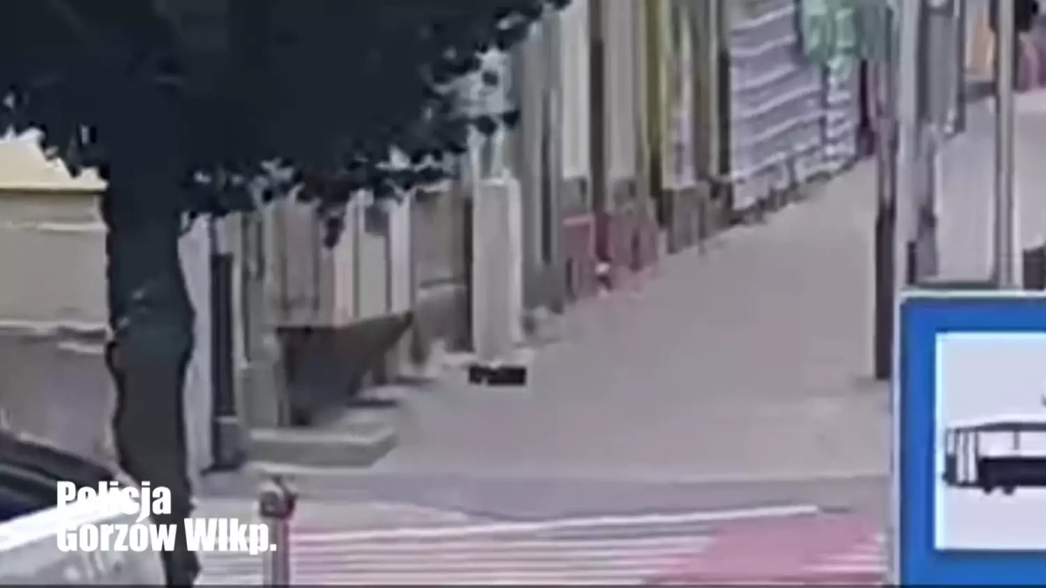 video-7.mp4