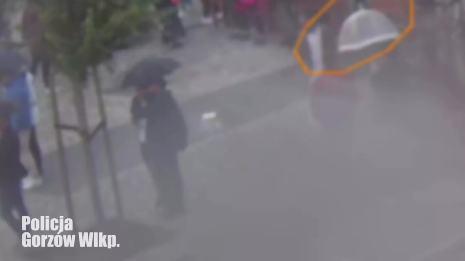 Niebezpieczne sceny w centrum Gorzowa. Będą zarzuty po koncercie