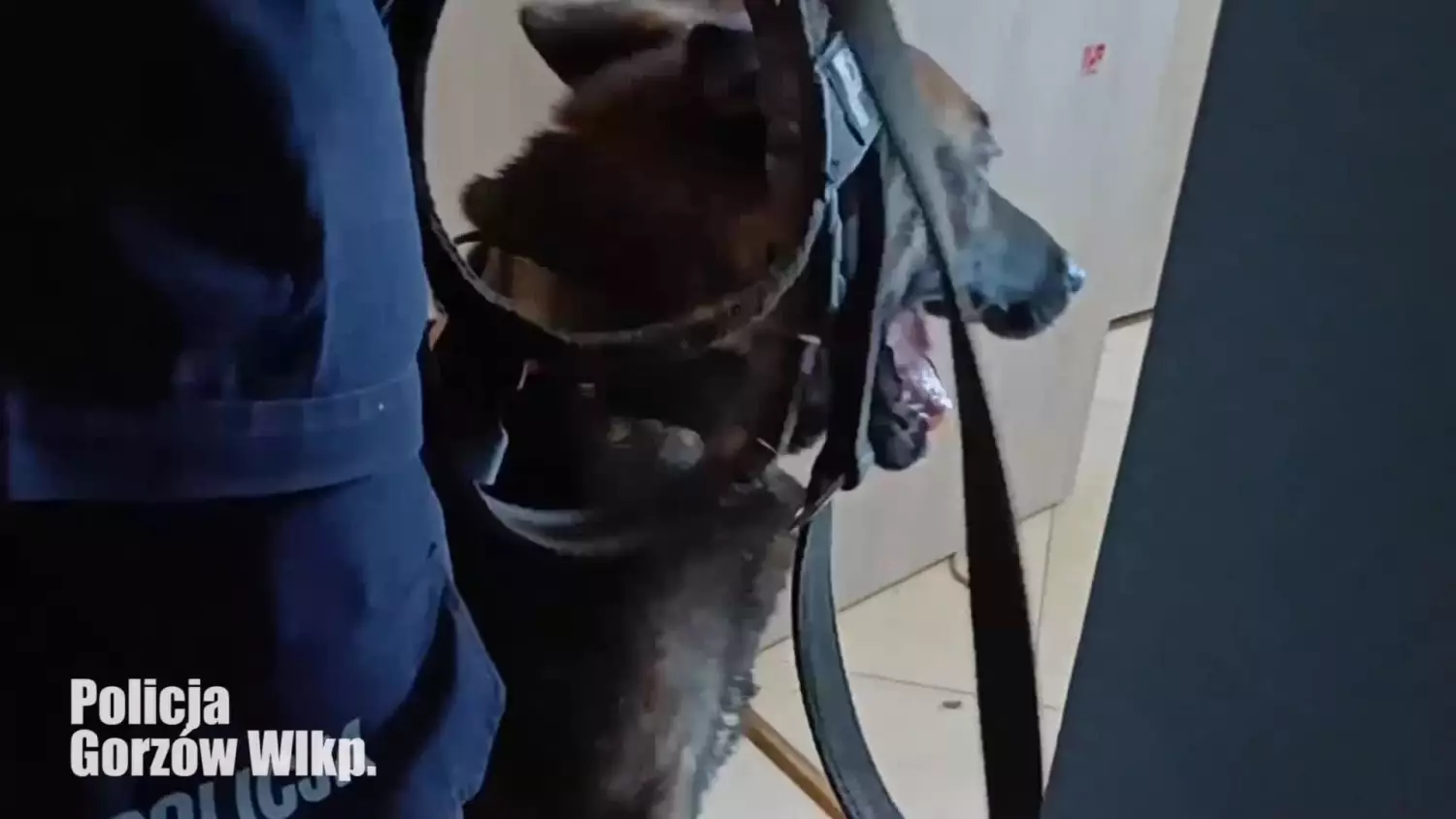 Mieli działać w narkotykowym półświatku. 15 osób stanie przed sądem w Gorzowie